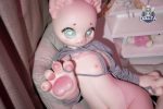DOLLTA 多麗塔 - CAT 貓 - 145cm：圖片 16