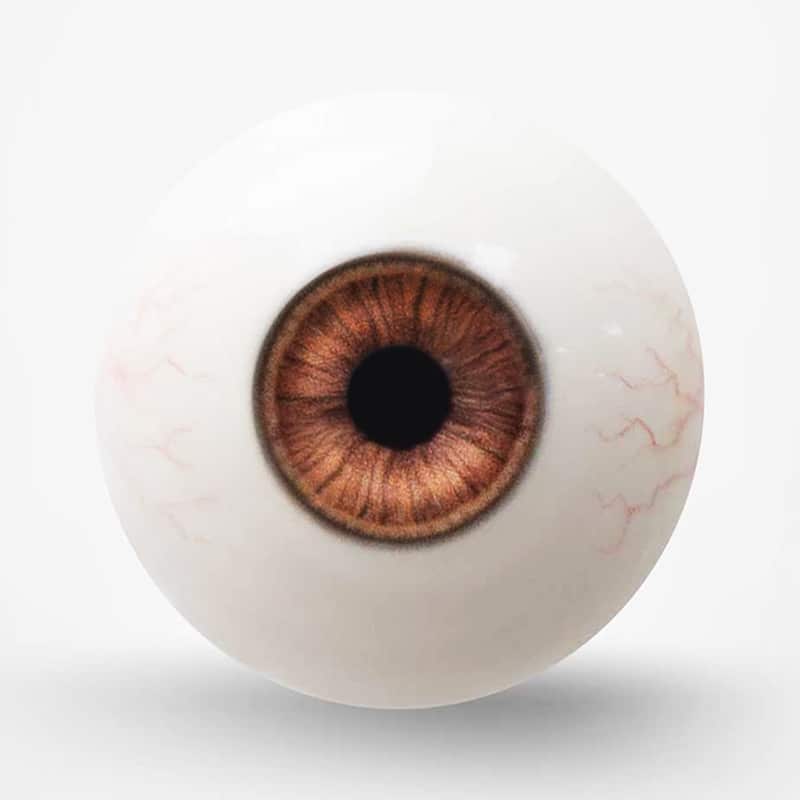Dark brown iris texture with bloodshot veins