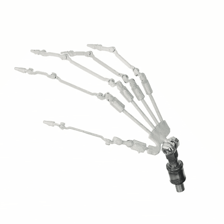 Ball-jointed doll skeleton