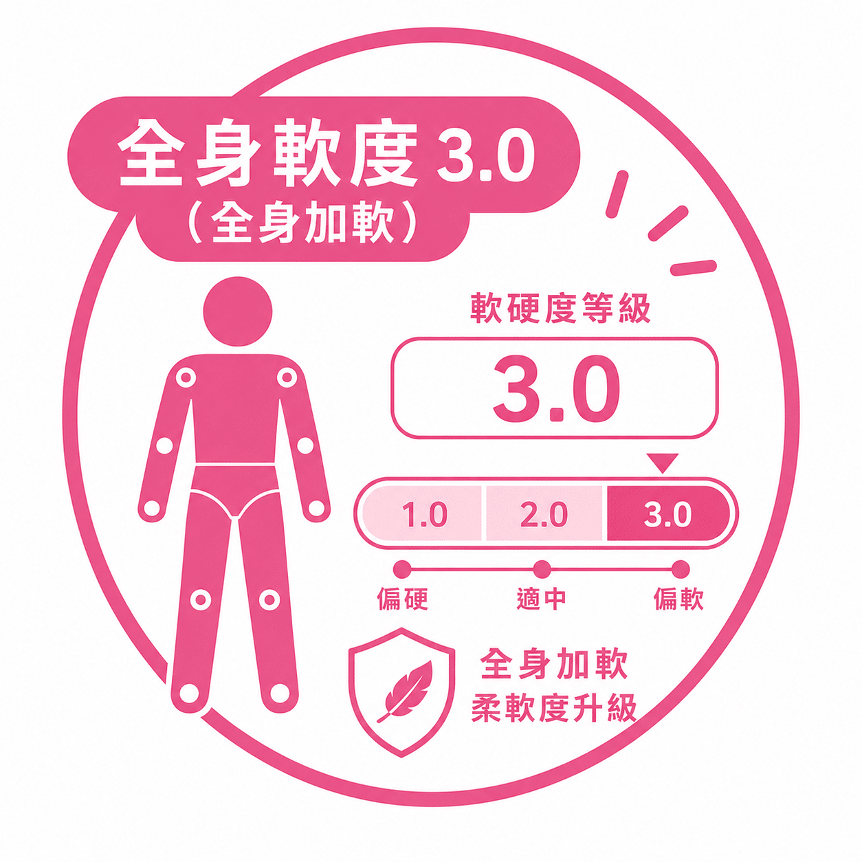 全身軟度3.0（全身加軟）