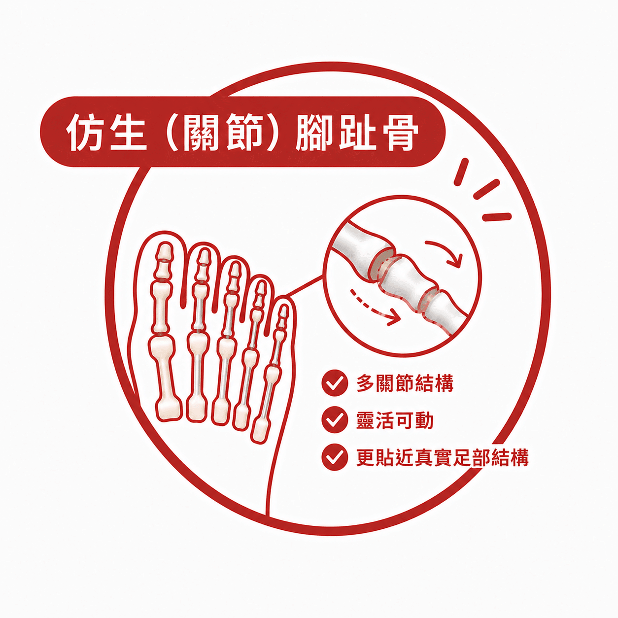 仿生（關節）脚趾骨