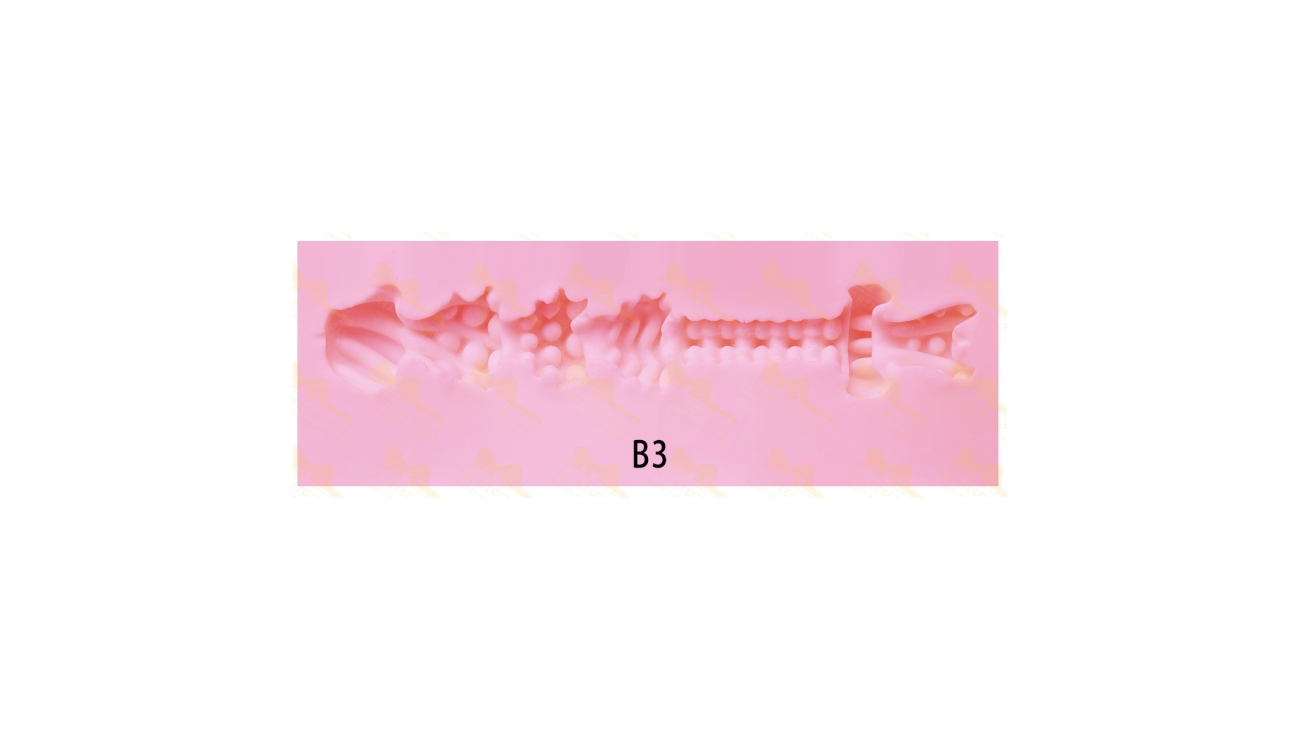 樣式3