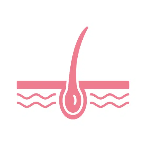 植髮（高溫絲）照官圖