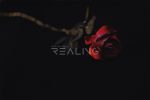 Realing 睿靈 - 銘柯 Micah- 180cm：圖片 17