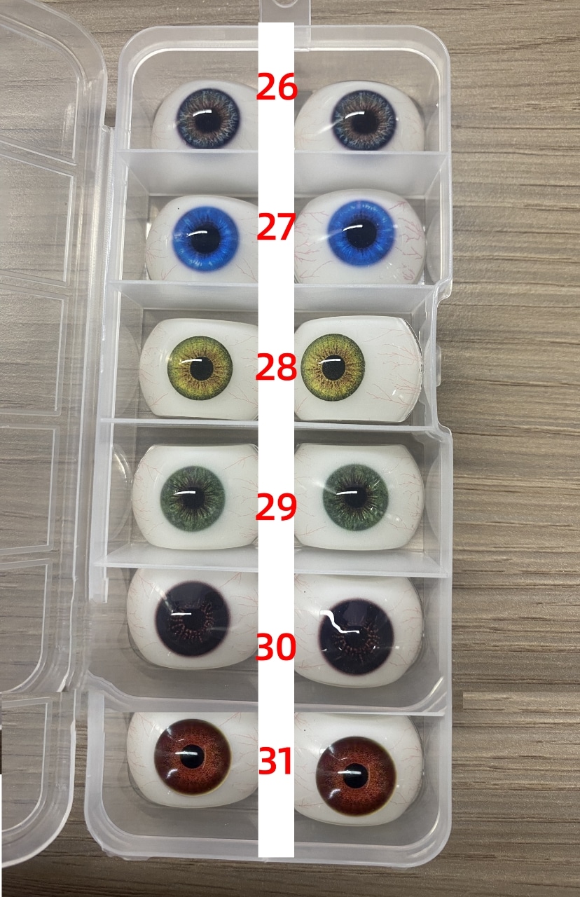 26-31號