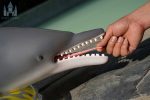 Dolls Castle | 娃娃城堡 - 130CM Dolphin Doll｜海豚獸控矽膠娃娃：圖片 7