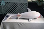 Dolls Castle | 娃娃城堡 - 110CM Baby Shark Doll｜鯊魚獸控情趣娃娃 - Image 5
