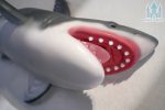Dolls Castle | 娃娃城堡 - 110CM Baby Shark Doll｜鯊魚獸控情趣娃娃 - Image 6