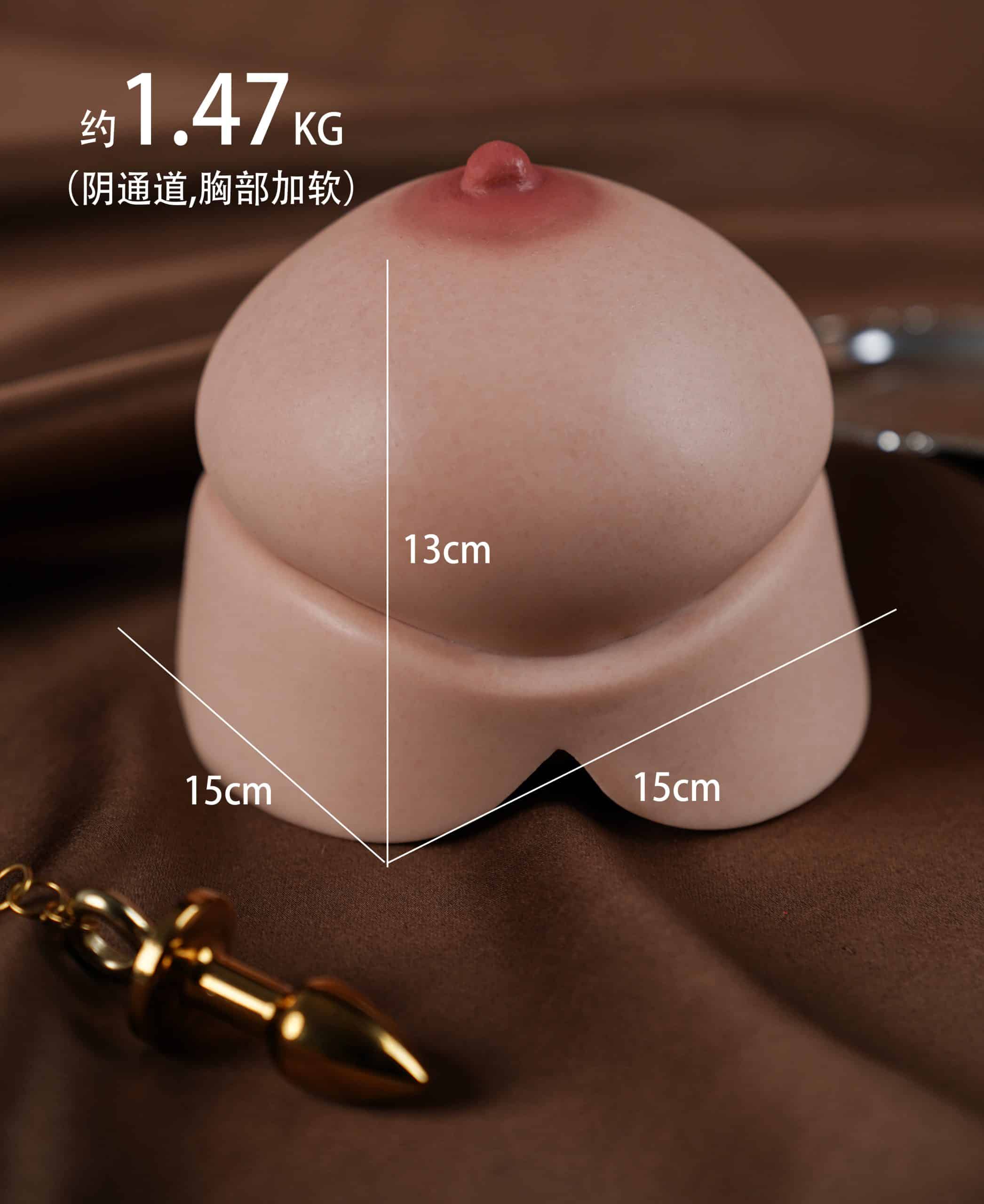單乳一體式名器尺寸圖