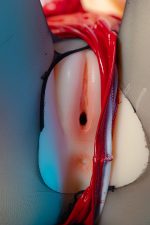 Aotume 凹凸咪 - 大鳳 135 - 160cm - K cup (矽膠頭+矽膠身體）｜碧藍航線 大鳳 Cosplay 矽膠娃娃 - Image 41
