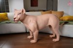 Dolls Castle | 娃娃城堡 - Simara Female Lion doll 72cm｜獅子情趣娃娃：圖片 12