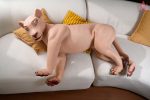 Dolls Castle | 娃娃城堡 - Simara Female Lion doll 72cm｜獅子情趣娃娃：圖片 2