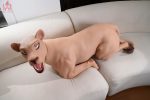 Dolls Castle | 娃娃城堡 - Simara Female Lion doll 72cm｜獅子情趣娃娃：圖片 16