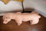 Dolls Castle | 娃娃城堡 - Simara Female Lion doll 72cm｜獅子情趣娃娃：圖片 10