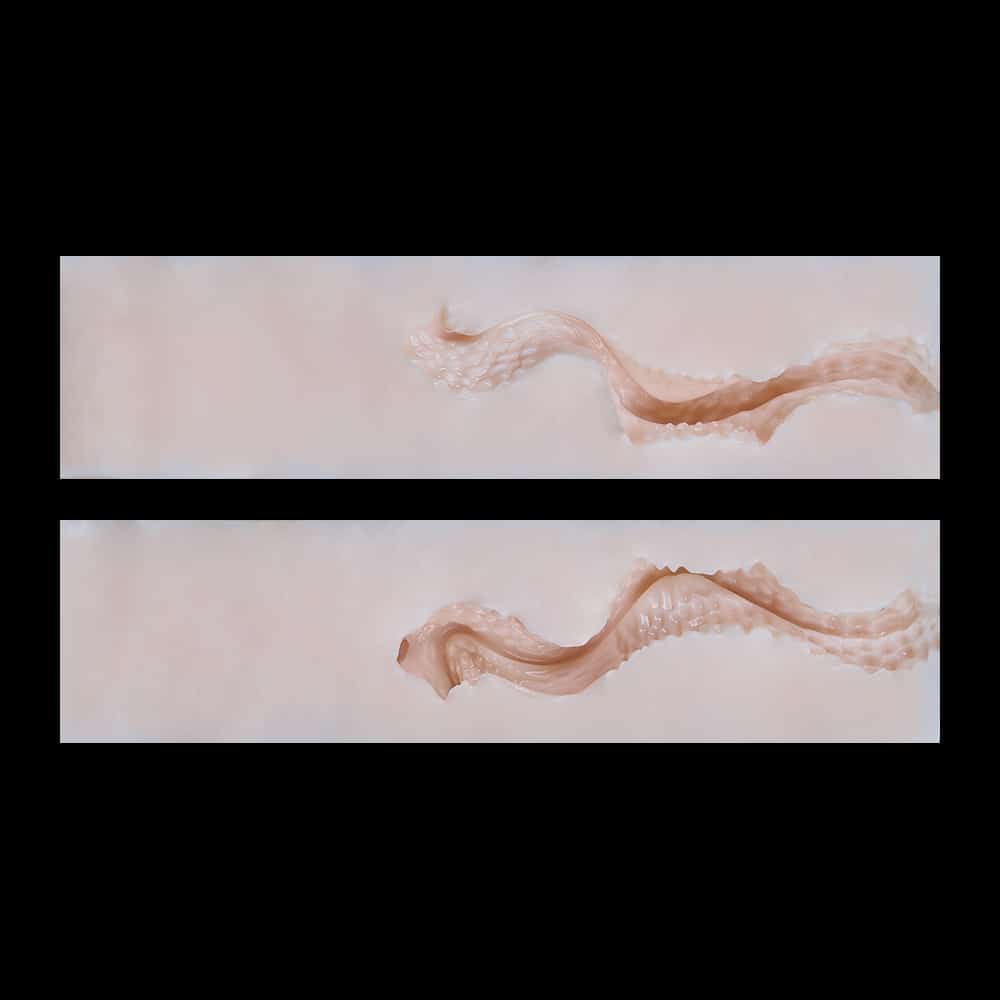 O5 Foxy Minx 11.3cm