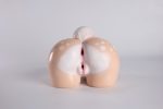 MRLSEXDOLL - 鹿屁股｜動物名器：圖片 21