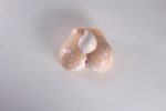 MRLSEXDOLL - 鹿屁股｜動物名器：圖片 29