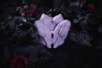 MRLSEXDOLL - Koko 可插手辦｜Darknud 聯名繪師哥德風飛機杯：圖片 20
