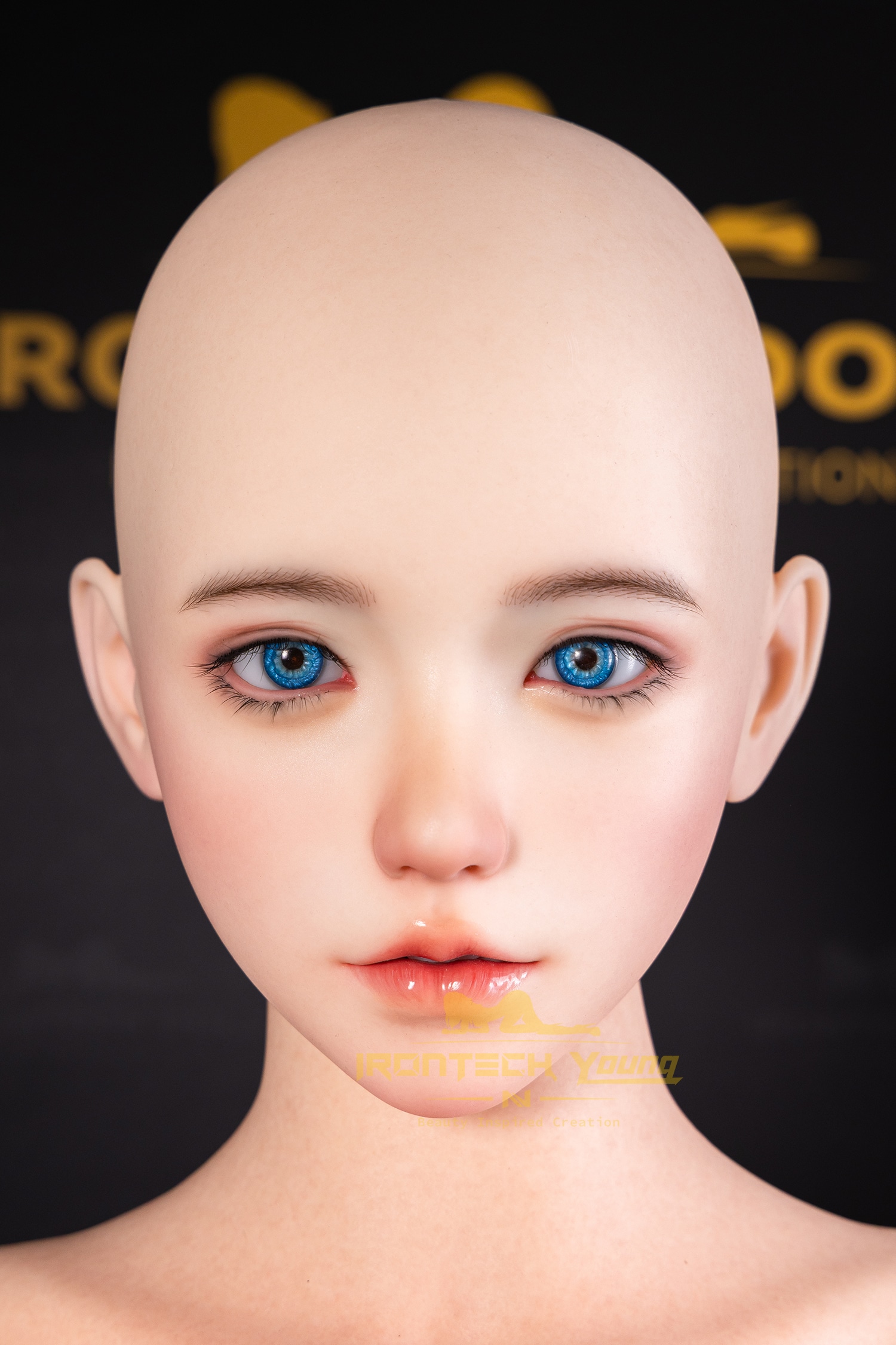 Zia Detail 9962