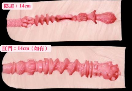 76DOLLS -【輕巧寫實款】頂級擬真小美尻｜極致寫實 1:1 皮紋經絡還原｜柏金級矽膠：特軟柔彈觸感｜好操作、好收納、好隱藏 - Image 6