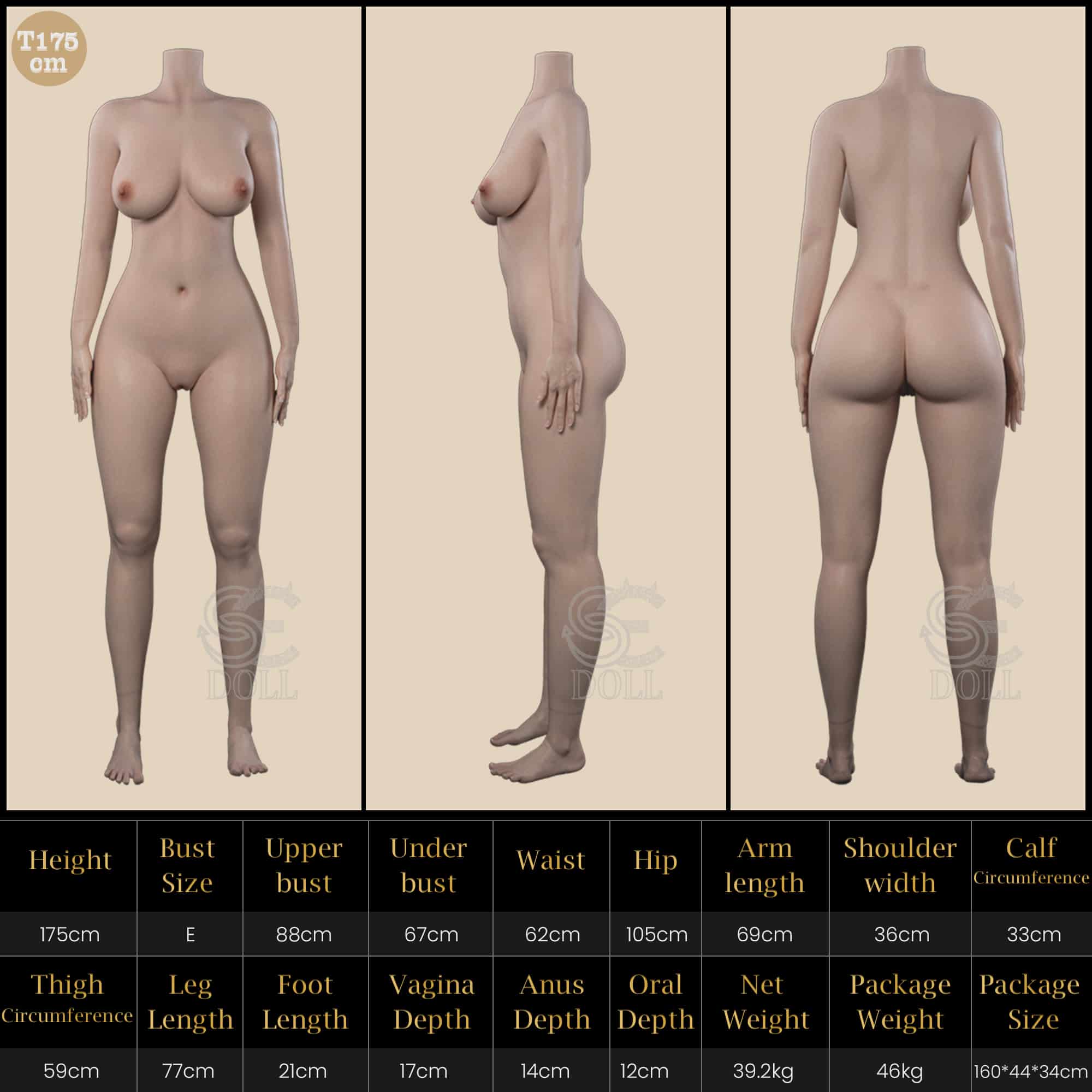 歐美矽膠娃娃開箱：SEDOLL Silicone Pro T175 官方規格數據表