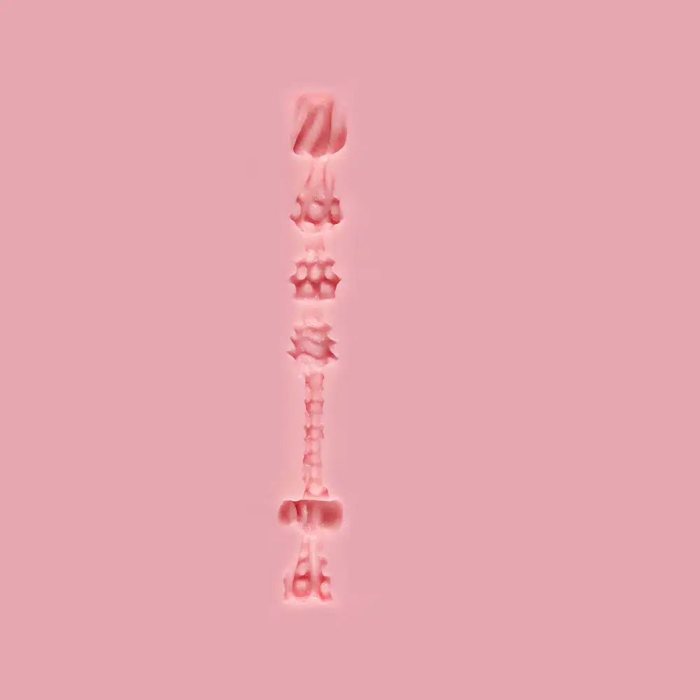 B3