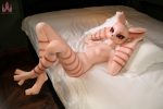 Dolls Castle | 娃娃城堡 - 160cm Cream Mouse - B Cup｜鼠娘矽膠娃娃：圖片 7