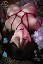 SEDOLL - ST5 Rina- 72cm - I 罩杯 (半身不含頭） - Image 11