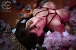 SEDOLL - ST5 Rina- 72cm - I 罩杯 (半身不含頭） - Image 12