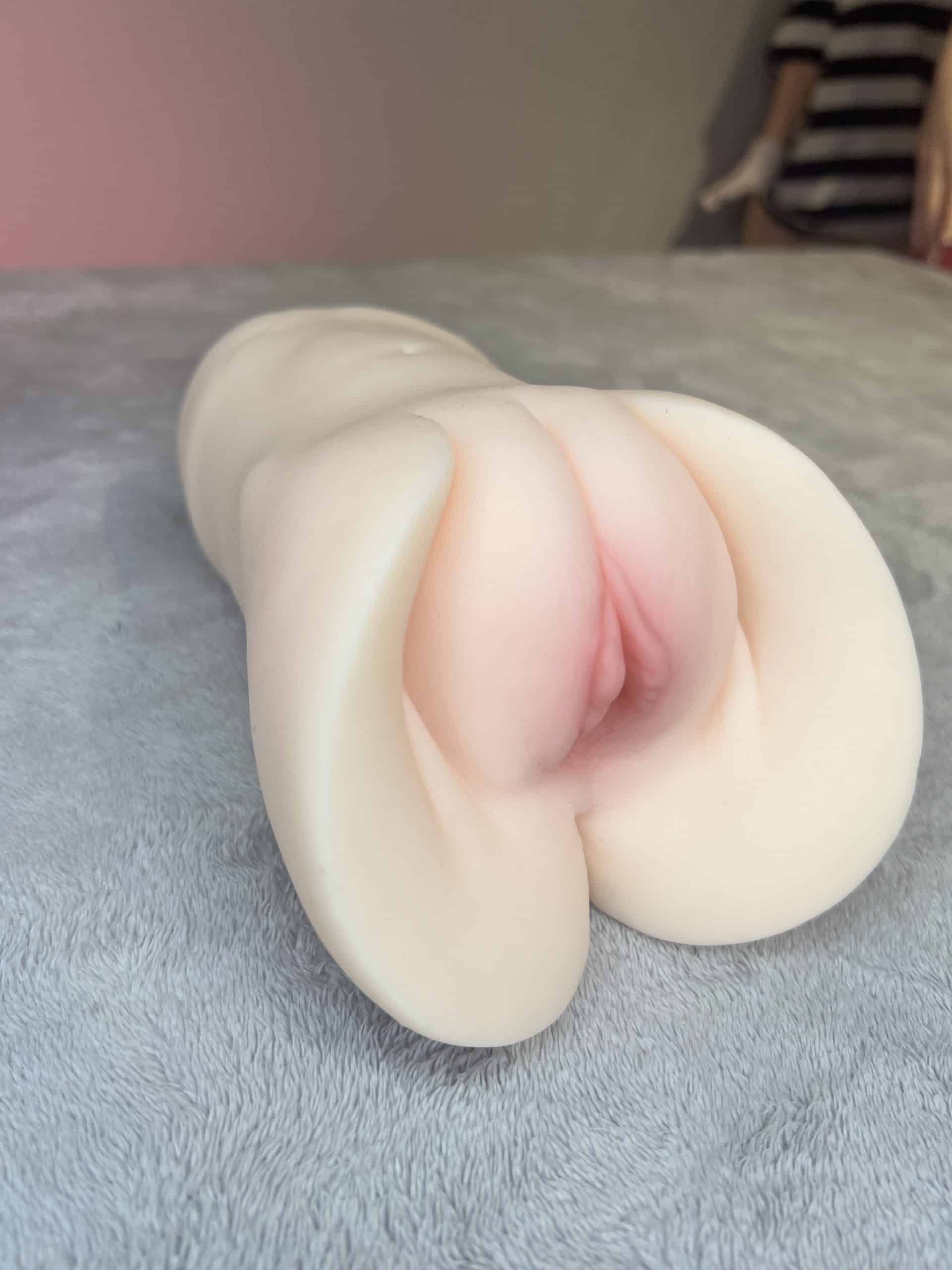 橋本有菜榮譽名器本體左側立體構造